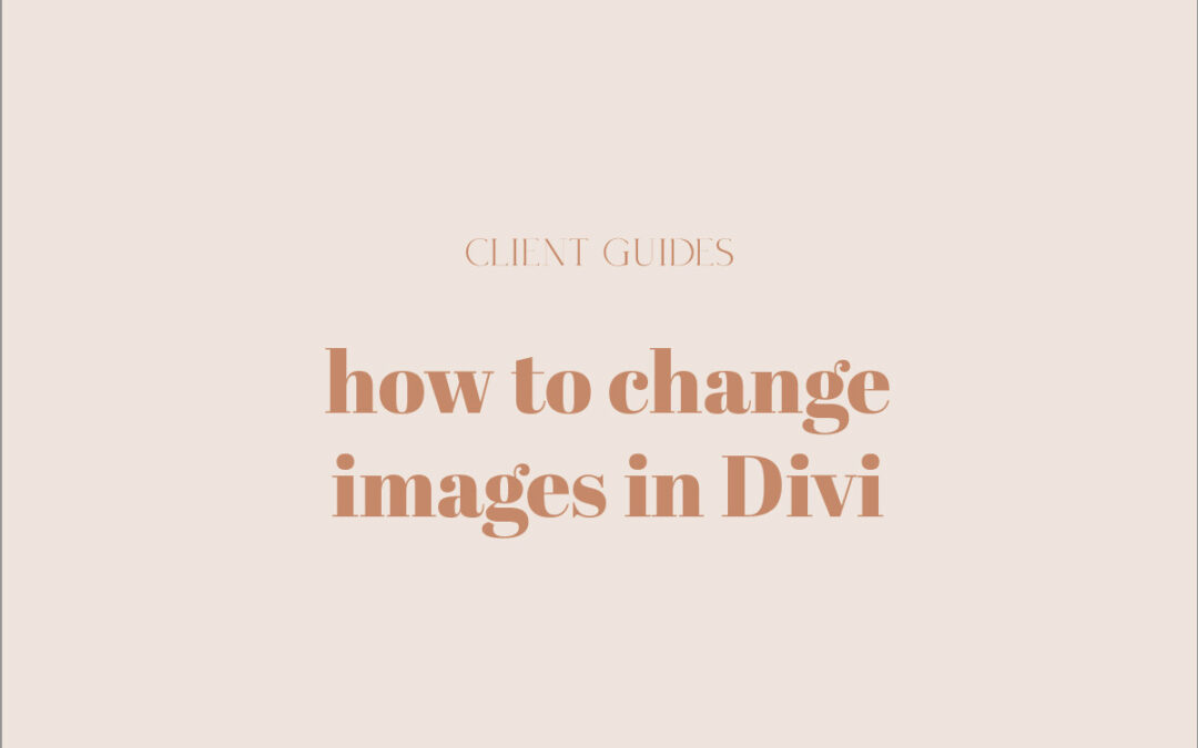 How to change images in Divi
