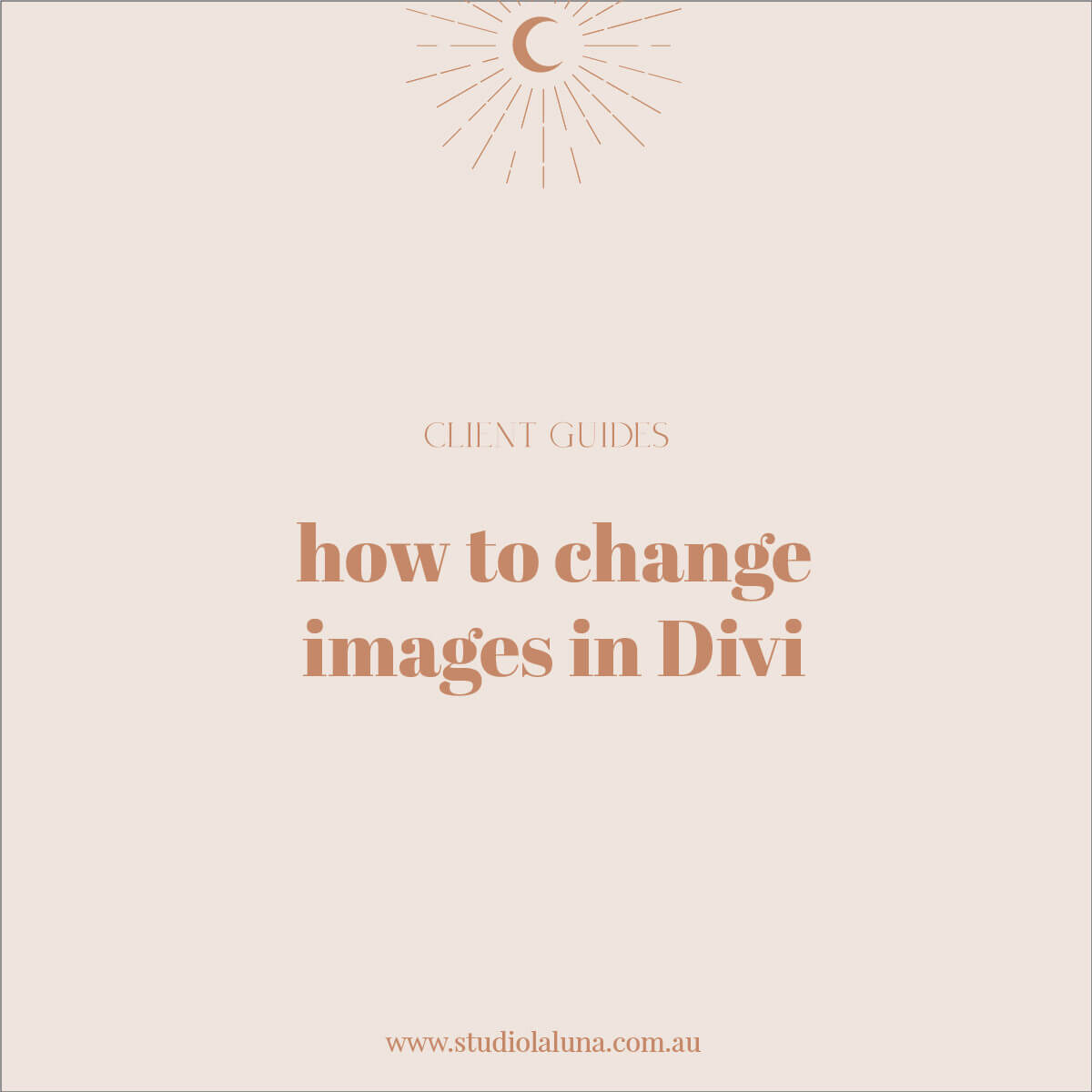 How to change images in Divi