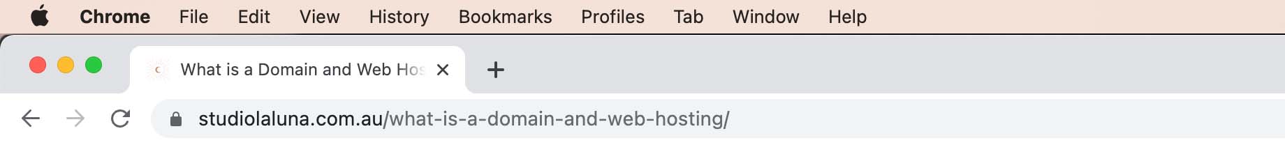 what is a domain and web hosting