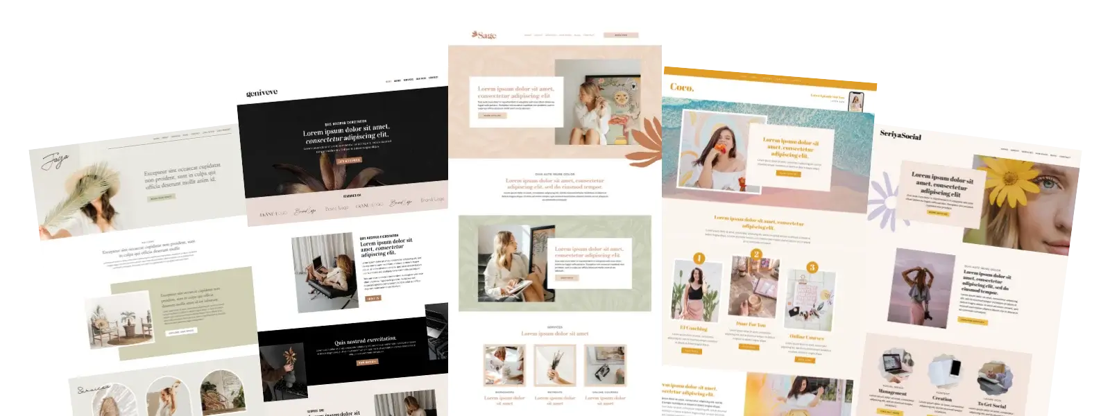 choose your wordpress website in a week template